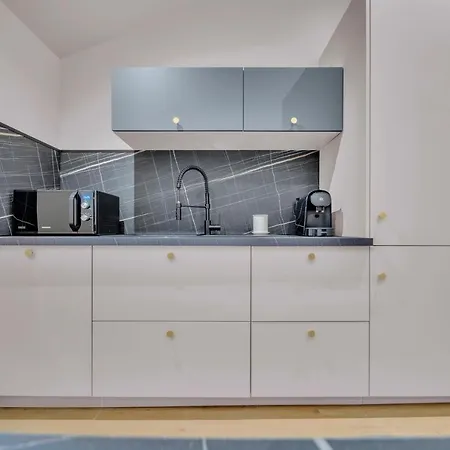 Διαμέρισμα Elegance & Calme : Centre/gare/cite Gastronomie Ντιζόν