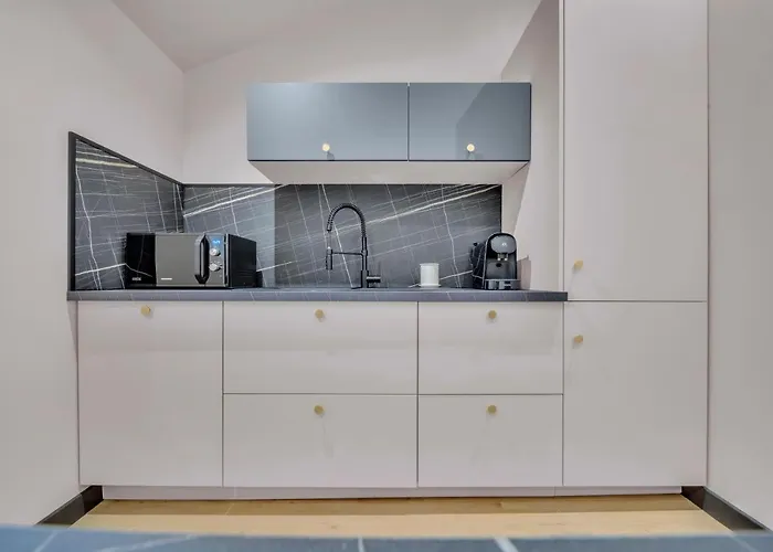 Apartamento Elegance & Calme : Centre/gare/cite Gastronomie Dijon